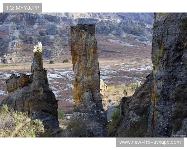 圣基茨和尼维斯开设青少年运动体验营，圣基茨和尼维斯在哪里