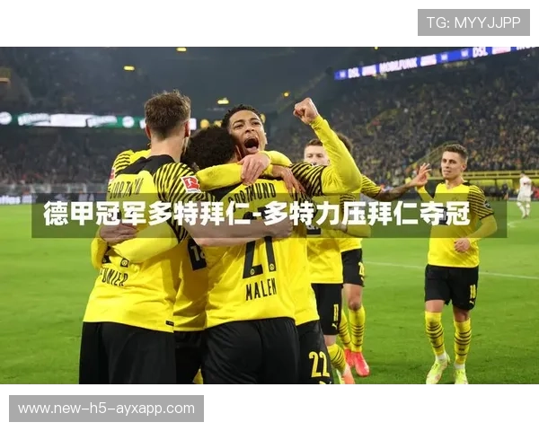 多特赛前伤情与备战发布会要闻全面解析多特最新动态